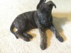 photo.jpg (73.09 KiB) Viewed 12276 times 7 weeks