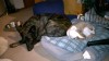 Blink_2015-04-28T23.00.41.639_3_2015-04-28.jpg