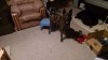 received_890661147655897.jpeg