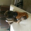 IMG_4544-resized.JPG