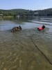 swimming.15.jpg