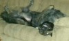 img20160108_150705.jpg