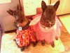 sadie_thalie_dressup.jpg