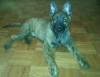 img20160125_233811.jpg