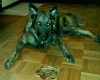 img20160125_234018.jpg