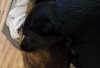 naptime.jpg