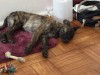 IMG-20160405-WA0000.jpg