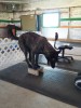 20160417_114523_resized-1.jpg
