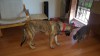 Grendel on April 24 2016 about 5 months 1 week w Edy reduced.jpg
