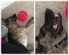 Grin Time