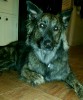 img20160519_154434.jpg