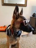 20160530_125820small.jpg