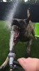 Water fun!