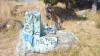 Grendel at Albany Bulb July 1 2016.jpg