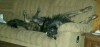 img20160709_223021.jpg