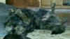 img20160709_222952.jpg