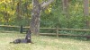 20151012_121810 compressed.jpg