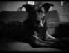 IMG_20160304_214523.jpg