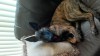 P_20160612_131256_HDR.jpg
