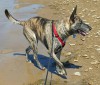 20160724_150526-1-1-1.jpg