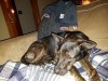 20160929_215342.jpg