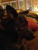 20161021_204754.jpg