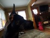 20161022_165110.jpg