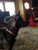 20161022_165824.jpg