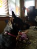 20161022_165849.jpg