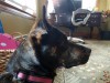 20161022_165939.jpg