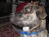 IMG_1203 2.jpg
