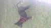20161012_090503.jpg