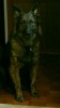 img20161113_004916.jpg