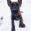 Snow!