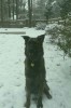 img20161215_100359.jpg
