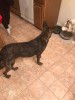 RenderedContent-FB4475CB-7BCA-4828-8AE3-37293240DFA2.JPG