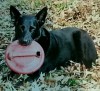 img20170119_174239.jpg