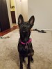 lola3.jpg