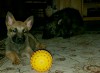 img20170202_163909.jpg