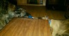 img20170218_220647.jpg