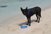 DSC_0211.JPG