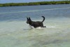 DSC_0089.jpg