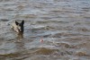 DSC_0787.jpg
