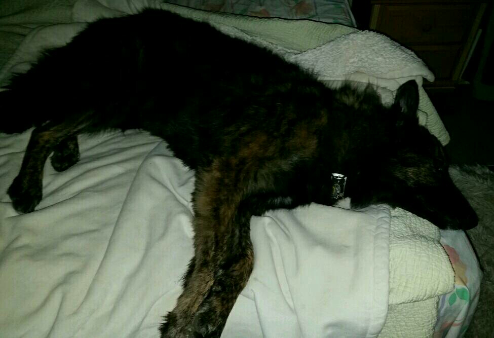 img20170301_183728.jpg
