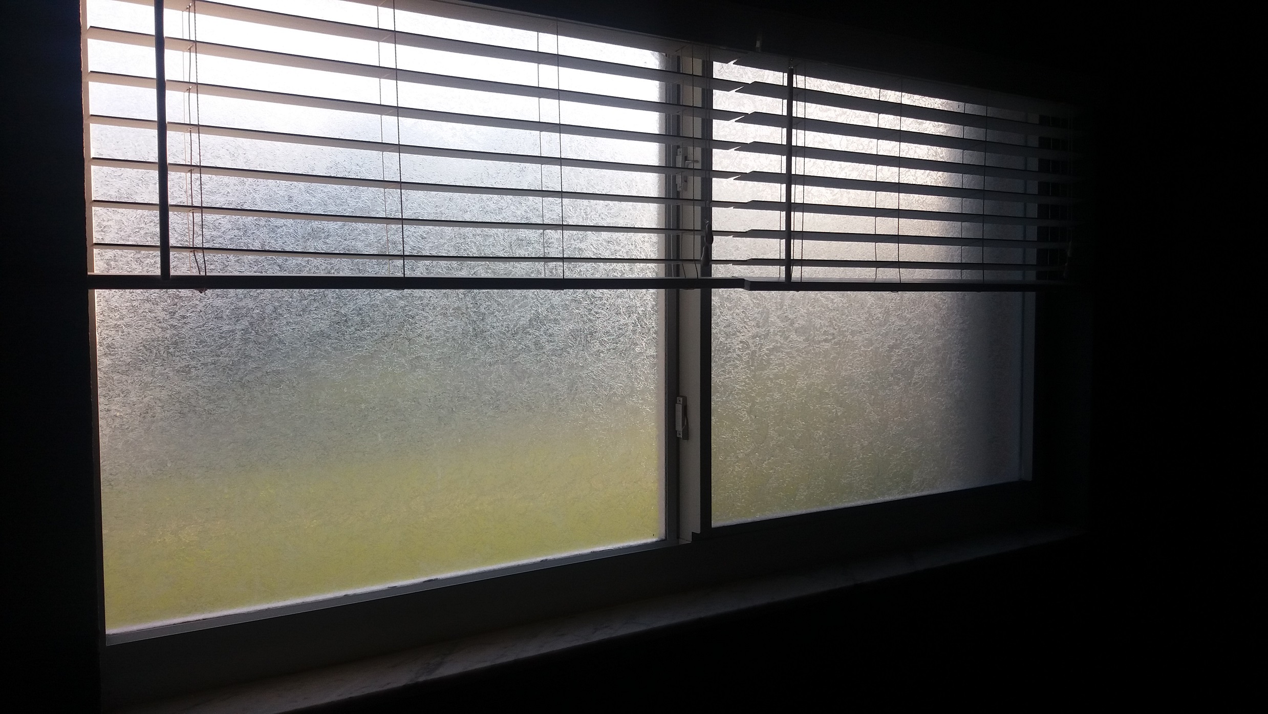 window.jpg