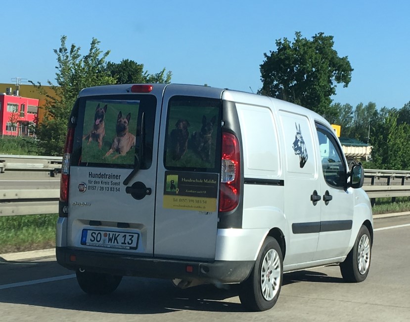 Hundschule.jpg