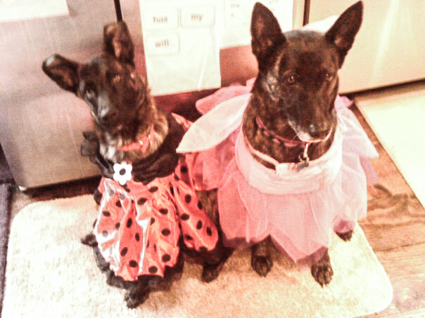 sadie_thalie_dressup_edited.jpg