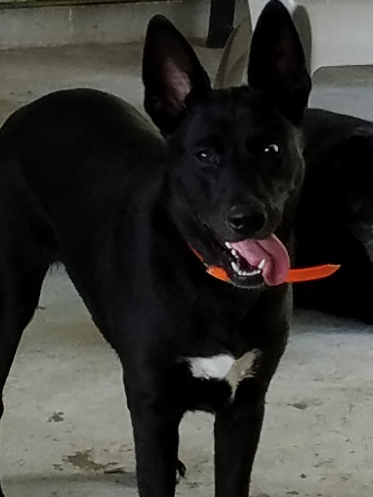 20170903_203812.jpg