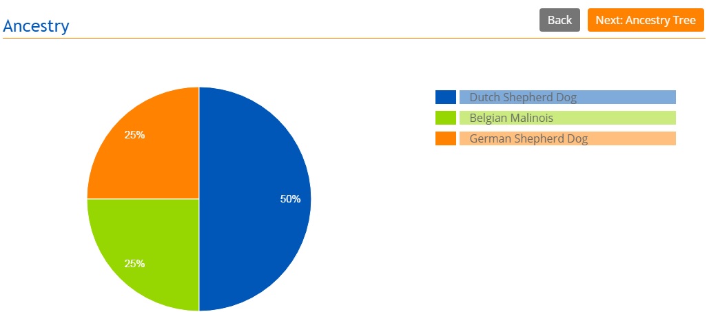 Ancestry_Radar.jpg