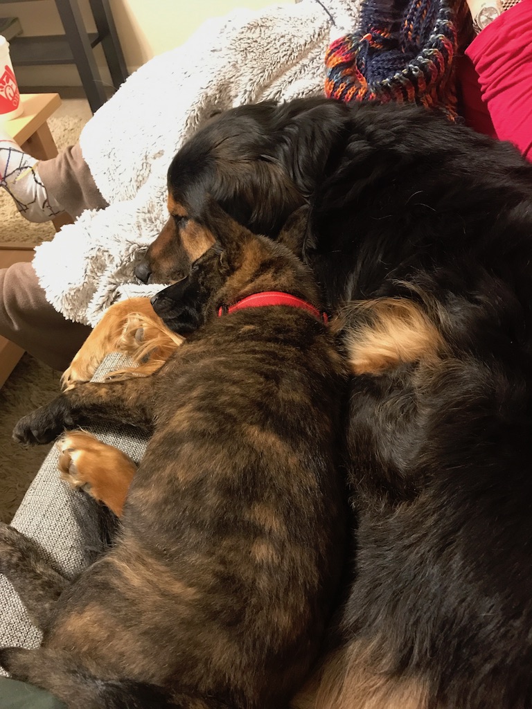 Iris and Buddy.jpeg